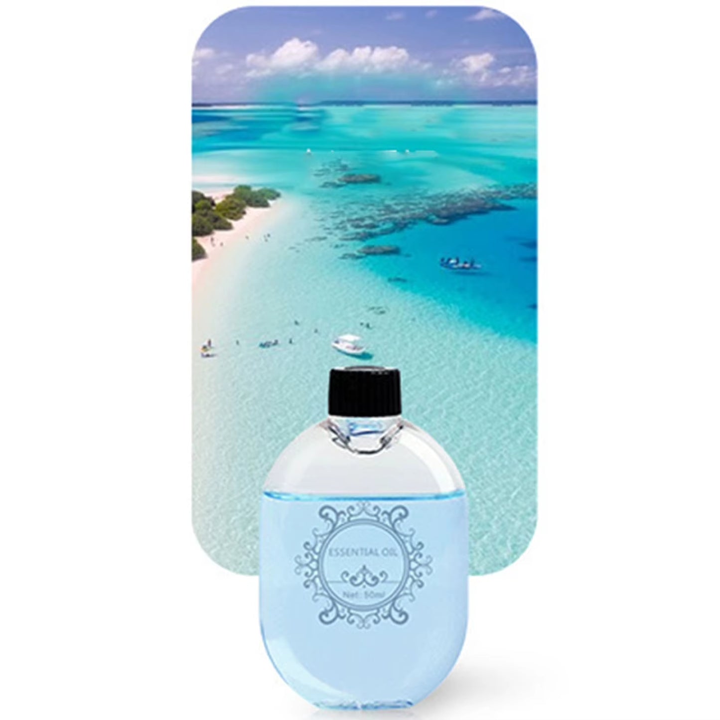 50ML Fragrance Essential Oil Aromatherapy Air Freshener Home Hotel Bedroom Toilet Air Freshener for Intelligent Aroma Diffuser